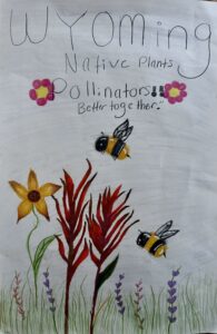 A drawing of bees and Indian Paintbrush.